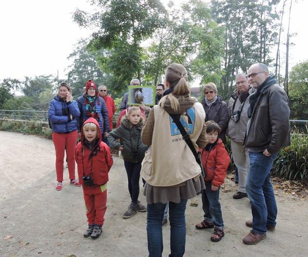 Ligue de la protection des oiseaux