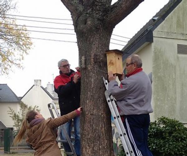 Installation de nouveaux nichoirs