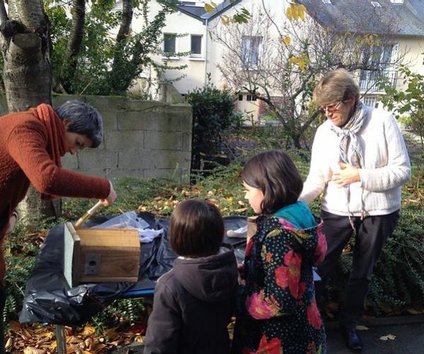 Installation et observation de nouveaux nichoirs