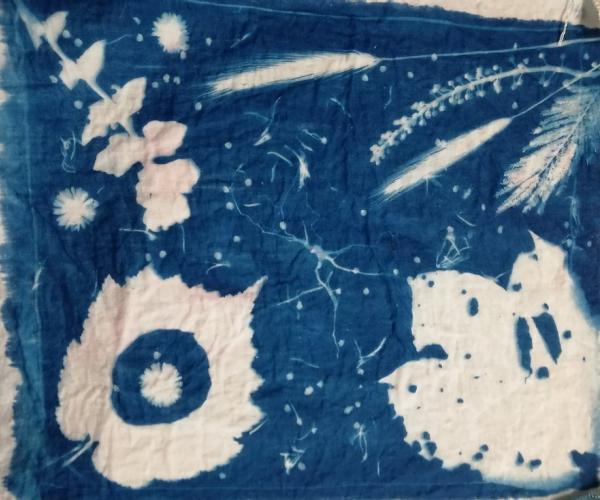 Découverte atelier cyanotype