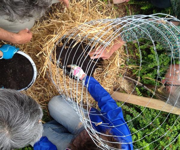 Découverte atelier éco-jardinage